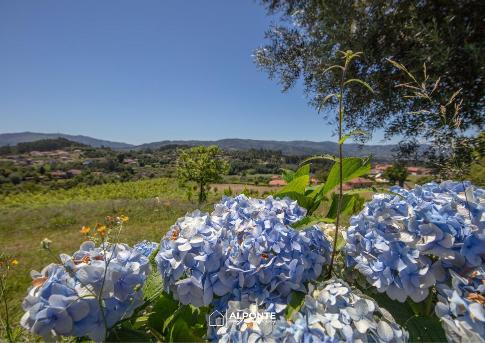 Quinta Da Costeira - Casa Azul Do Limoal By Alponte Villa Arcos de Valdevez Buitenkant foto