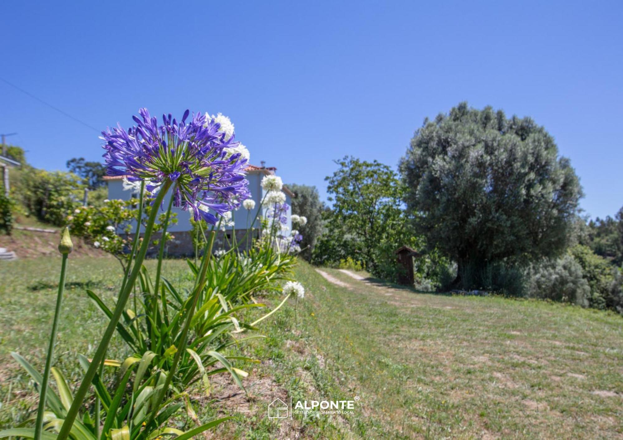 Quinta Da Costeira - Casa Azul Do Limoal By Alponte Villa Arcos de Valdevez Buitenkant foto